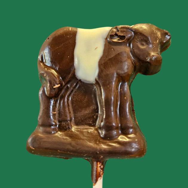 Dark Chocolate Belted Galloway Cow Lolly