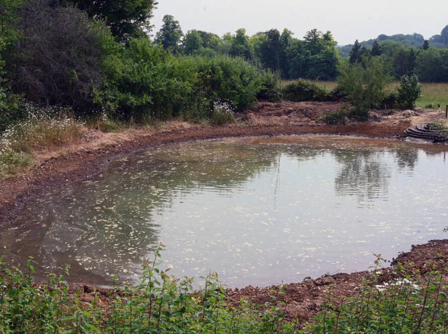 Preston Hill Pond - John Sparrow