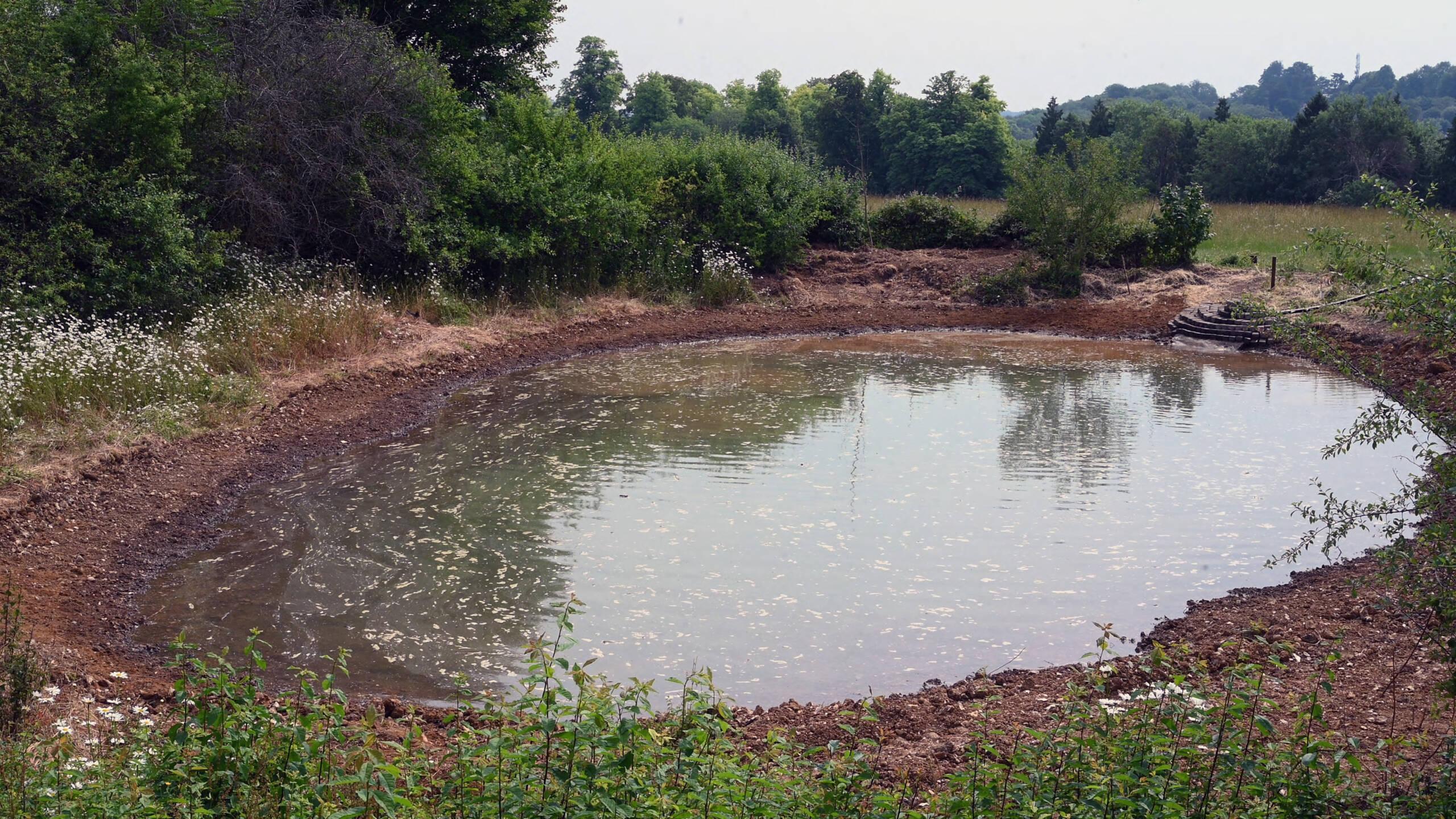 Preston Hill Pond - John Sparrow