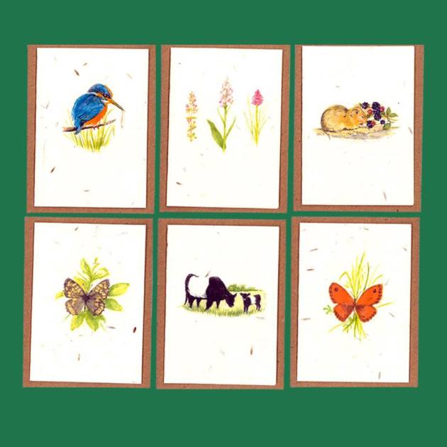 Seed Paper Gift cards - Set of 6