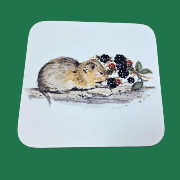 Coaster - Water Vole