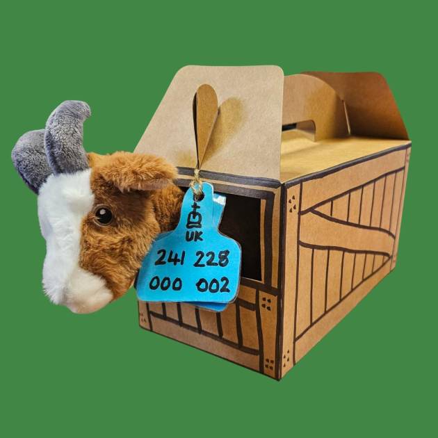 Goat Adoption pack