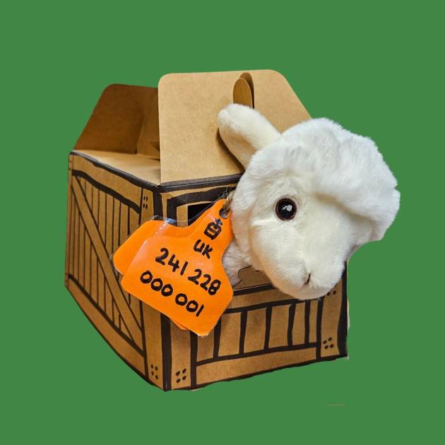 Norfolk Horn Lamb Adoption pack