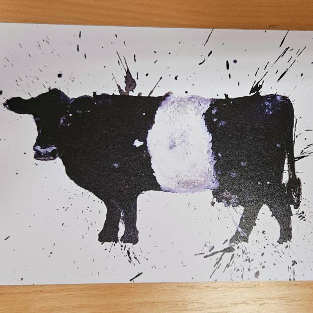 Belted Galloway Card