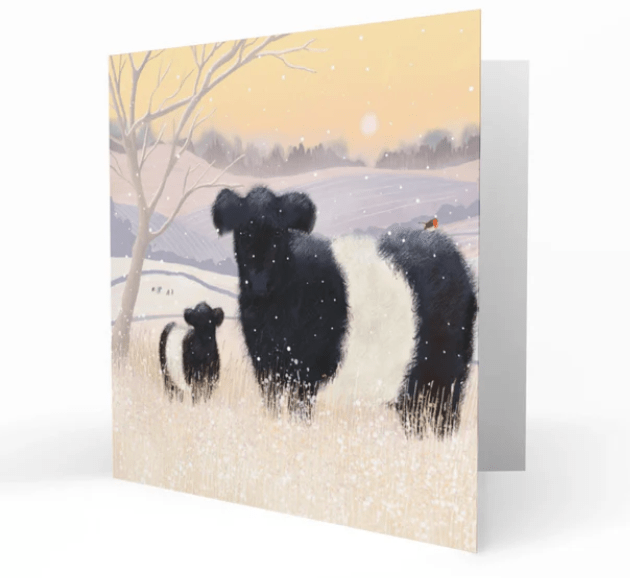 Belted Galloway Card - Baltic Belties