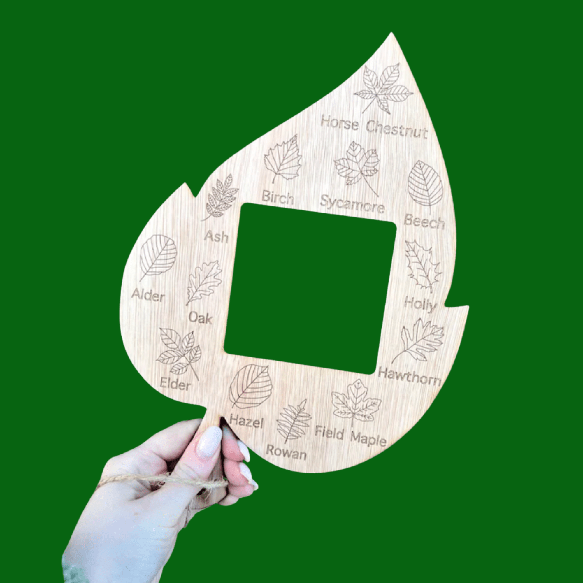 Wooden Leaf Identifier